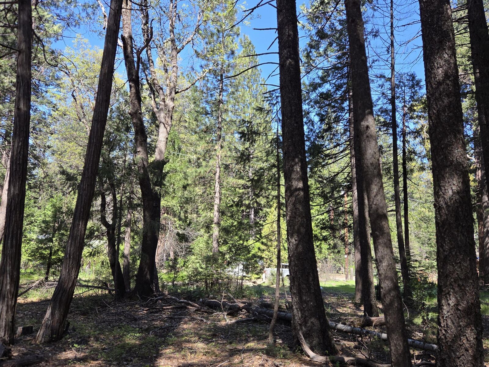 Property Photo:  Lot 16 Arbor Lane  CA 96088 