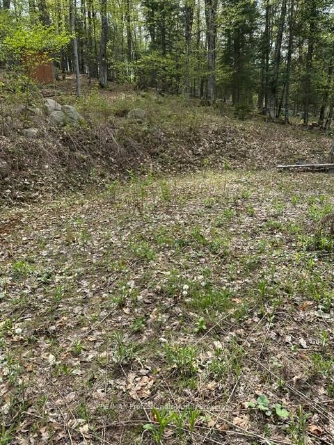 Property Photo:  Tbd Bushwolf Lake Road  ON K0M 1S0 