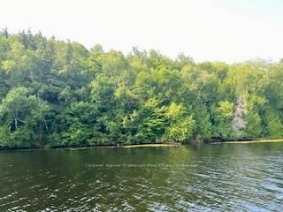 Property Photo: Lot 13-B Little Long N/A ON P0H 1S0