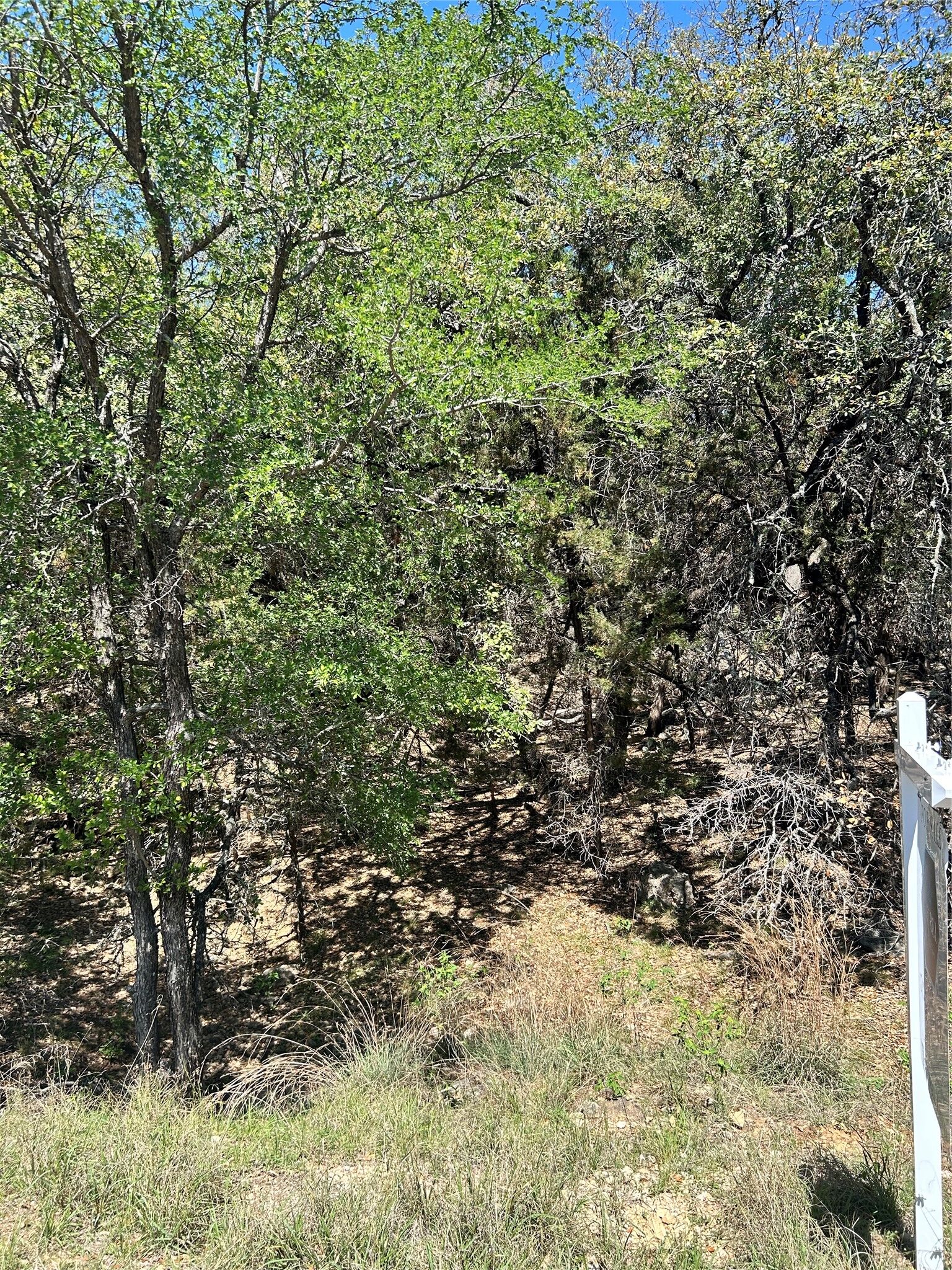 Property Photo: 21502 Cardinal Avenue TX 78645