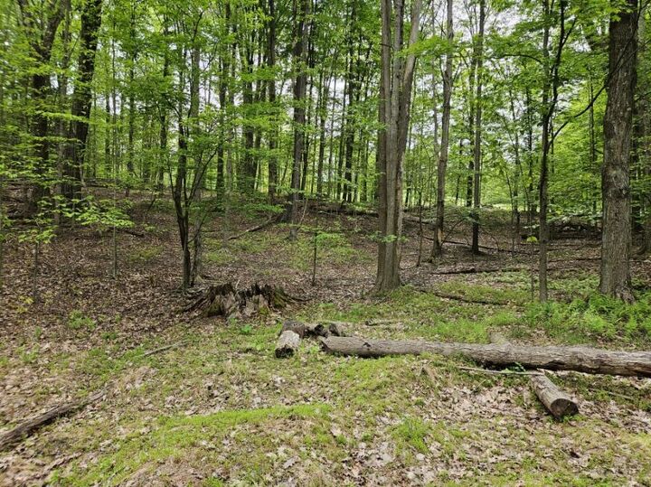 Property Photo:  17 Six Shillings  PA 15801 