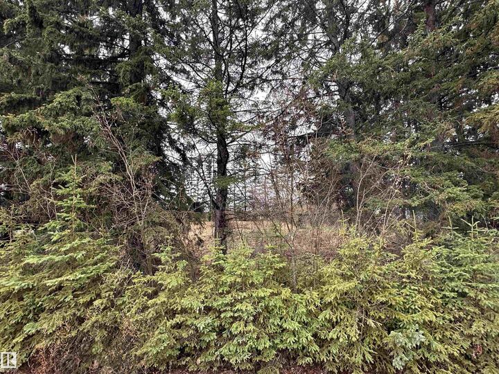 Property Photo:  5301 50 Avenue  AB T0G 0Y0 