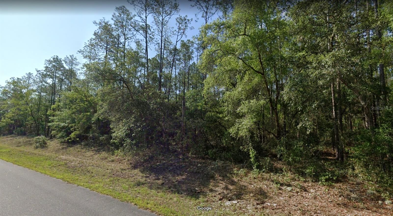 Property Photo:  546 E Bimini Drive  FL 34434 
