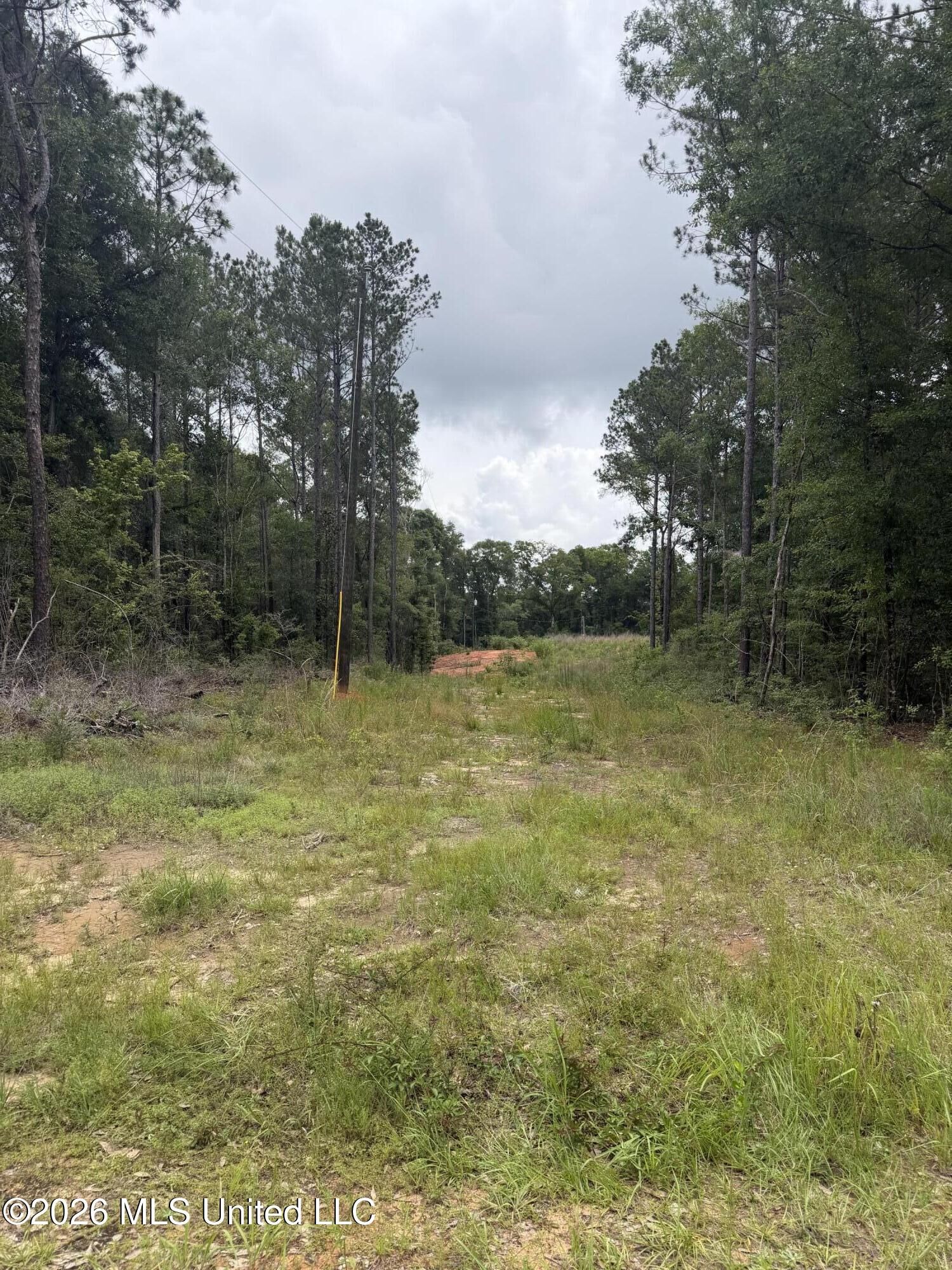 Property Photo:  143 Mill Creek Lane  MS 39452 