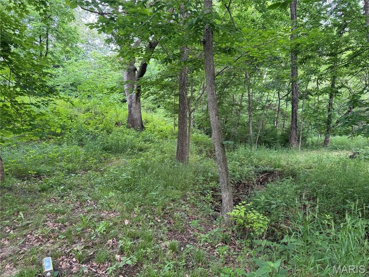Property Photo:  Tbd Panama Avenue  IL 62077 