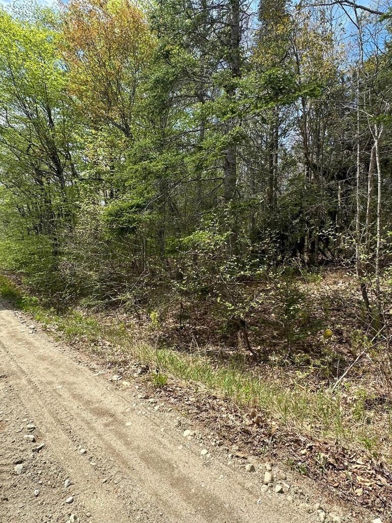 Property Photo: Lot 2 Morse District Road Road N ME 04680
