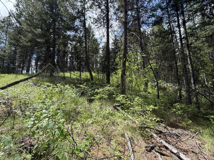 Property Photo:  Tbd E Knob Hill Rd  WA 99166 