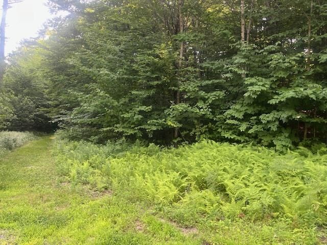 Property Photo:  00 Aspen Drive  NH 03816 