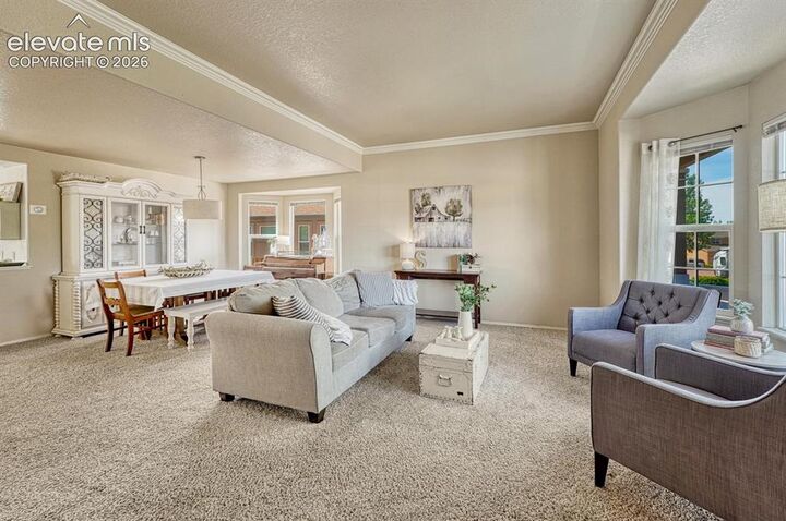 Property Photo:  5629 Whiskey River Drive  CO 80923 