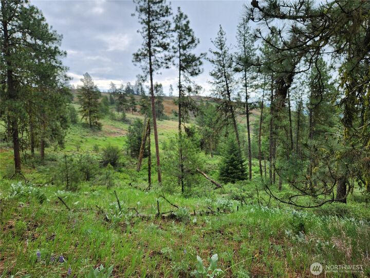 Property Photo:  0 74 & 75  Gold Mt. Road  WA 99166 
