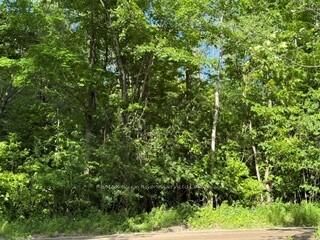 Property Photo:  B2 Pipeline Road  ON K0K 1M0 