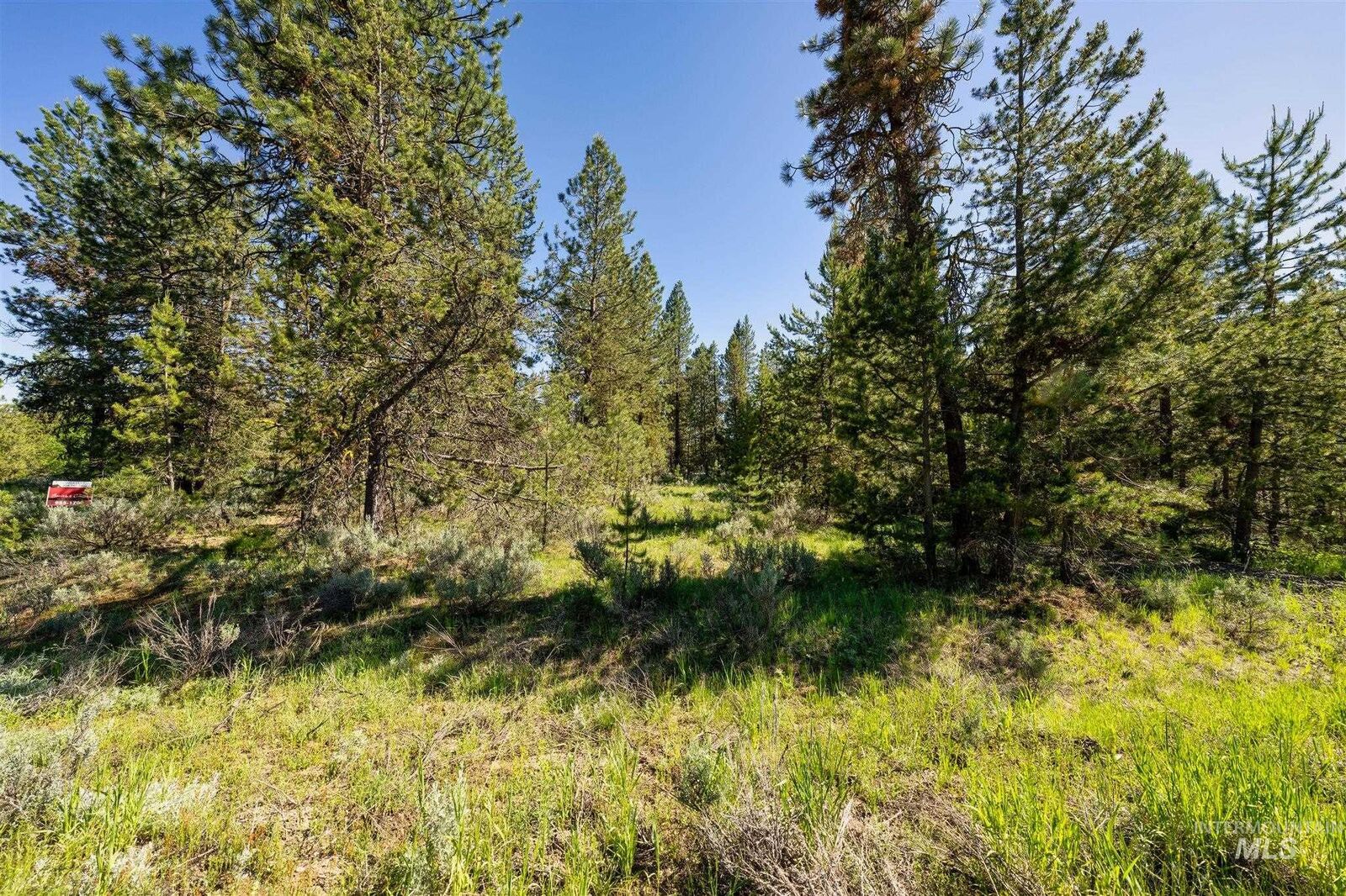 Property Photo: 110 Fawnlilly ID 83638