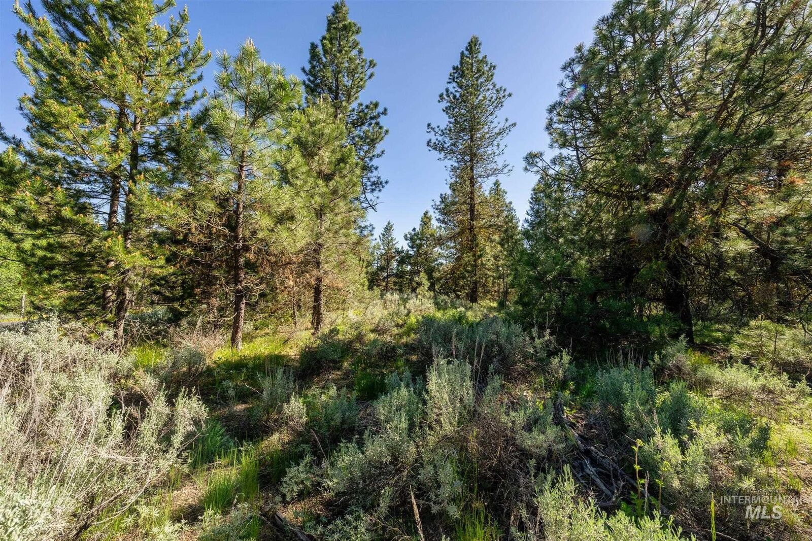 Property Photo: 110 Fawnlilly ID 83638