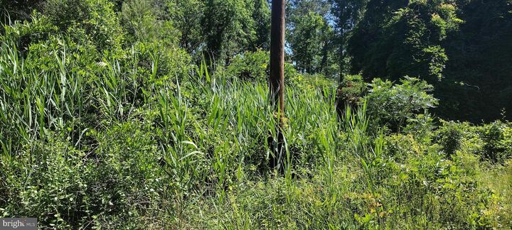 Property Photo: 4064 Back Shelltown Road MD 21838