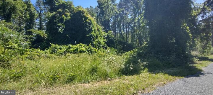 Property Photo:  4064 Back Shelltown Road  MD 21838 