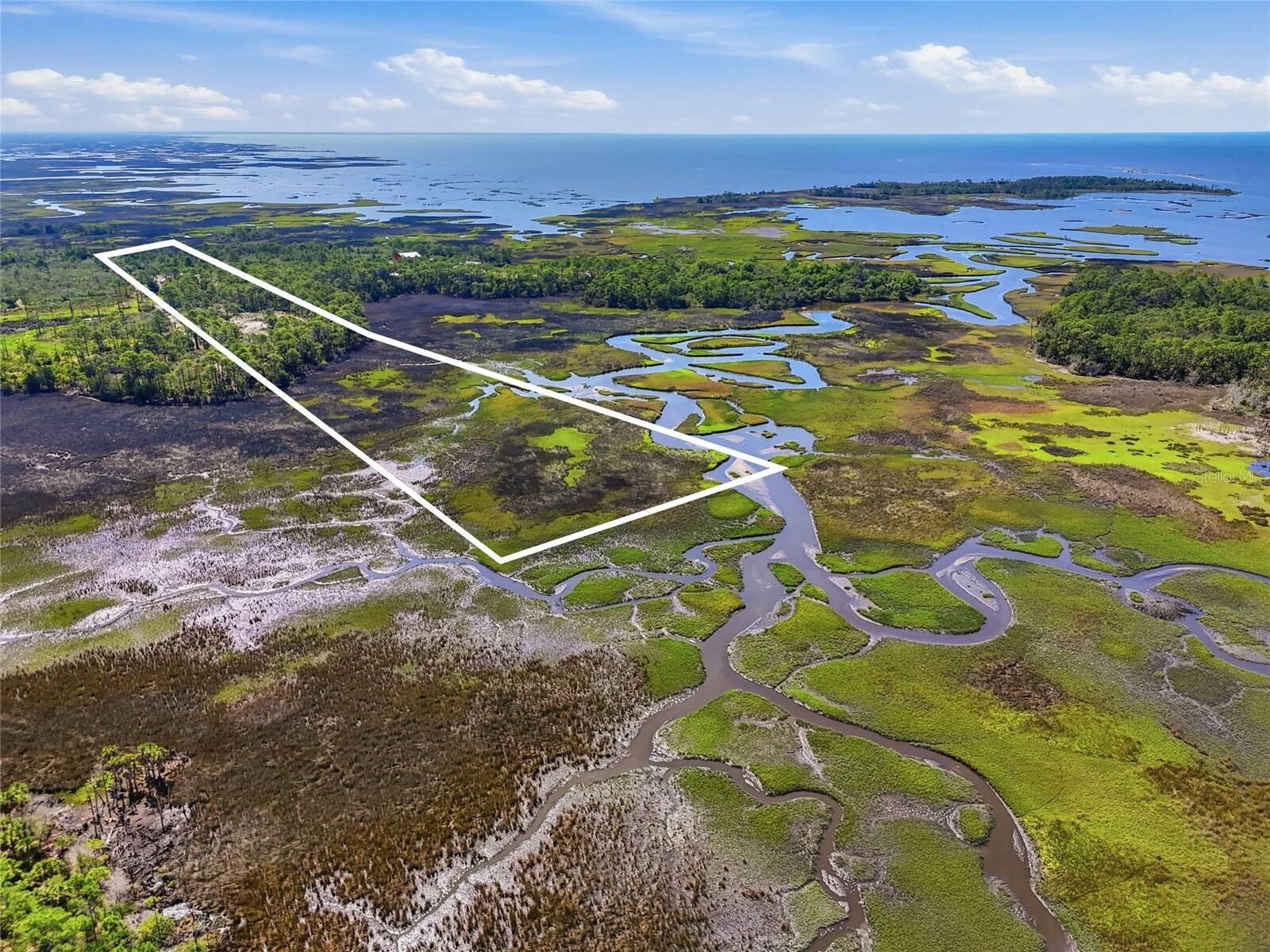 Property Photo: Tbd State Road 24 FL 32625