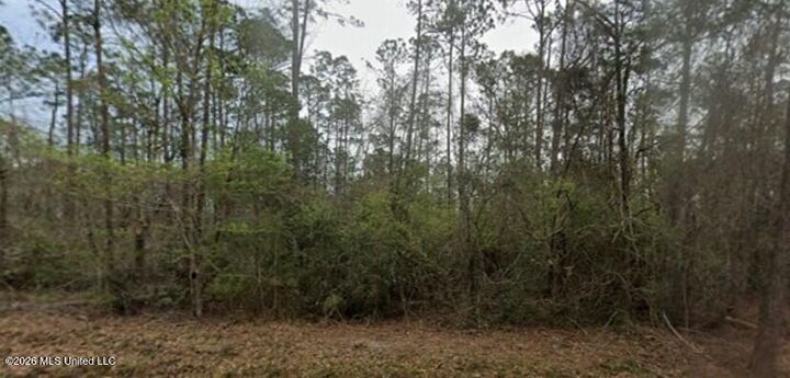 Property Photo:  0 Aila Street  MS 39525 
