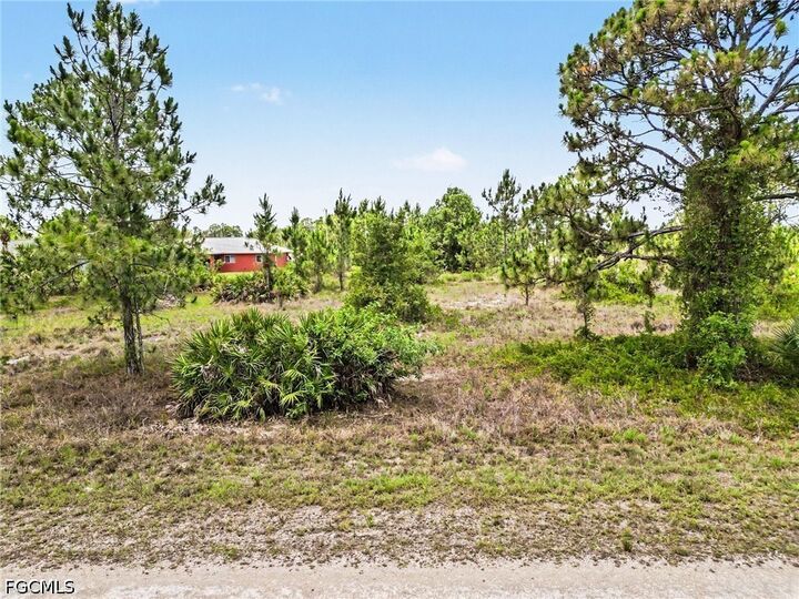 Property Photo:  1046 Chandlee Street  FL 33974 