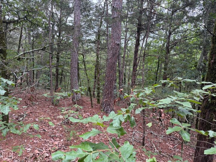 Property Photo:  1031 Old Dolph Road  AR 72519 