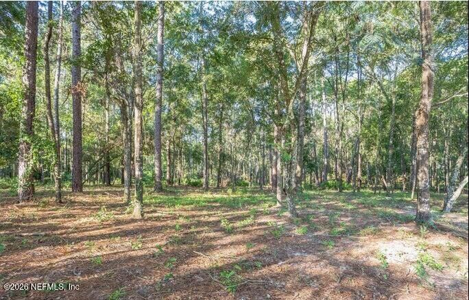 Property Photo: 4843 Alligator Boulevard FL 32068