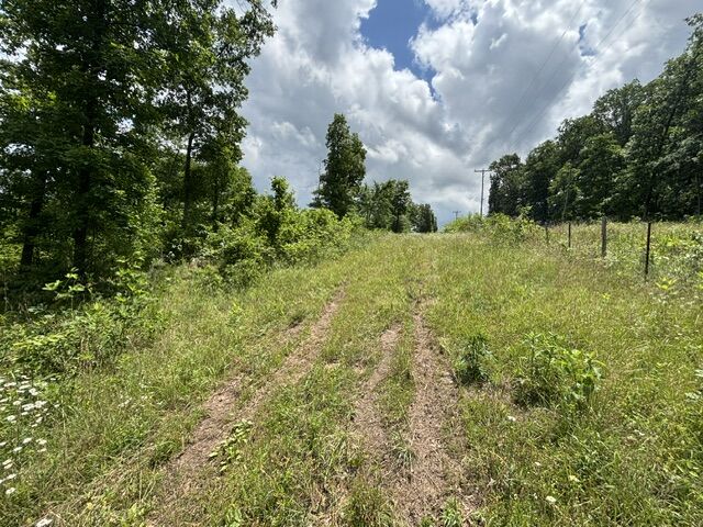 Property Photo:  Ar 21 S Berryville, Ar 72 S Ar 21  AR 72616 