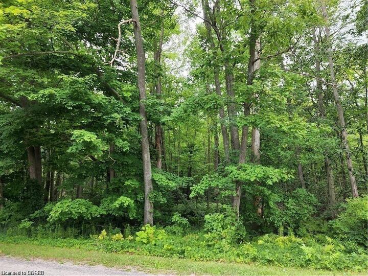 Pt Lot 20 7 Concession — photo 1
