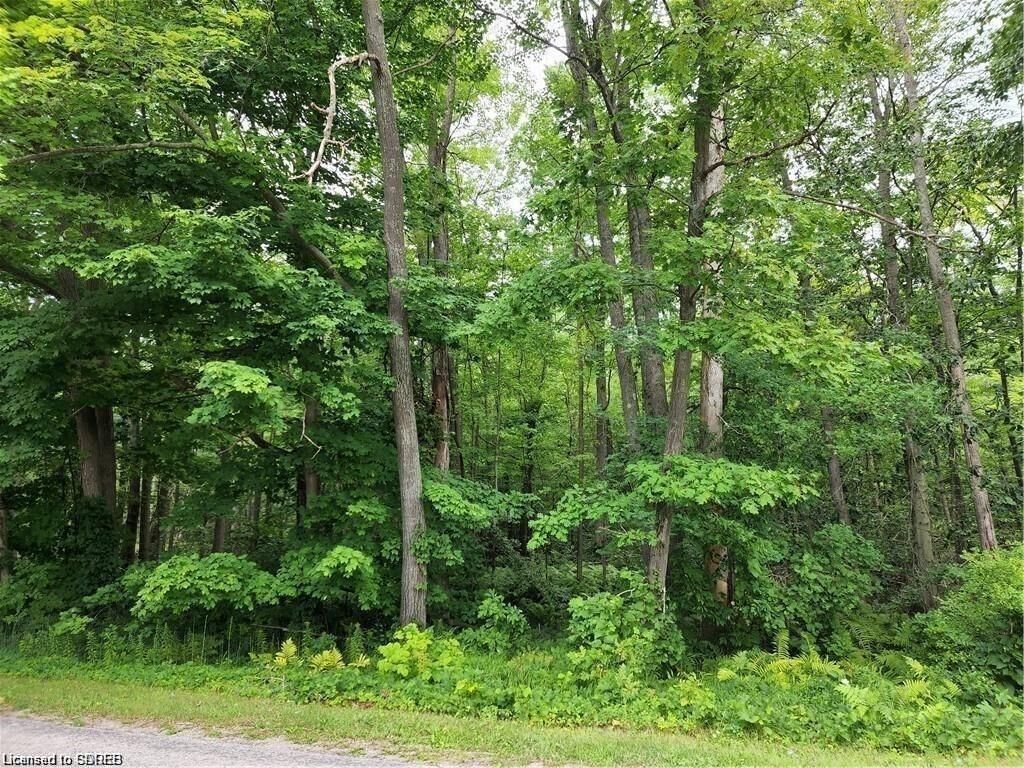 Property Photo:  Pt Lot 20 7 Concession  ON N3Y 4K1 