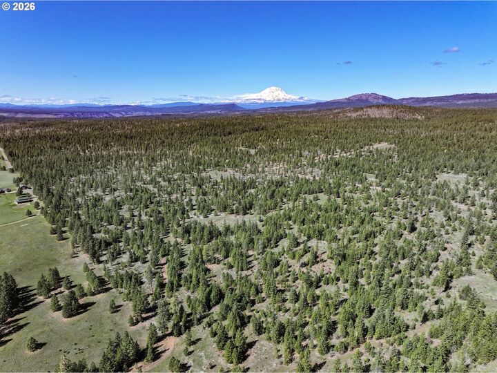 Property Photo:  Ginger Way 4  WA 98620 