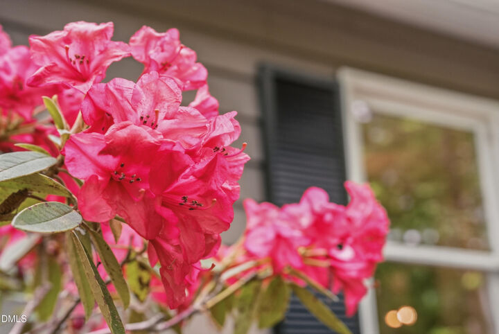 Property Photo: 2415 Western Park Lane NC 27278