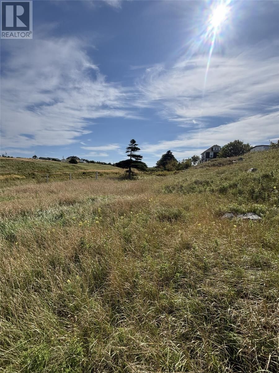 Property Photo:  15 Main Street  NL A0C 0A7 