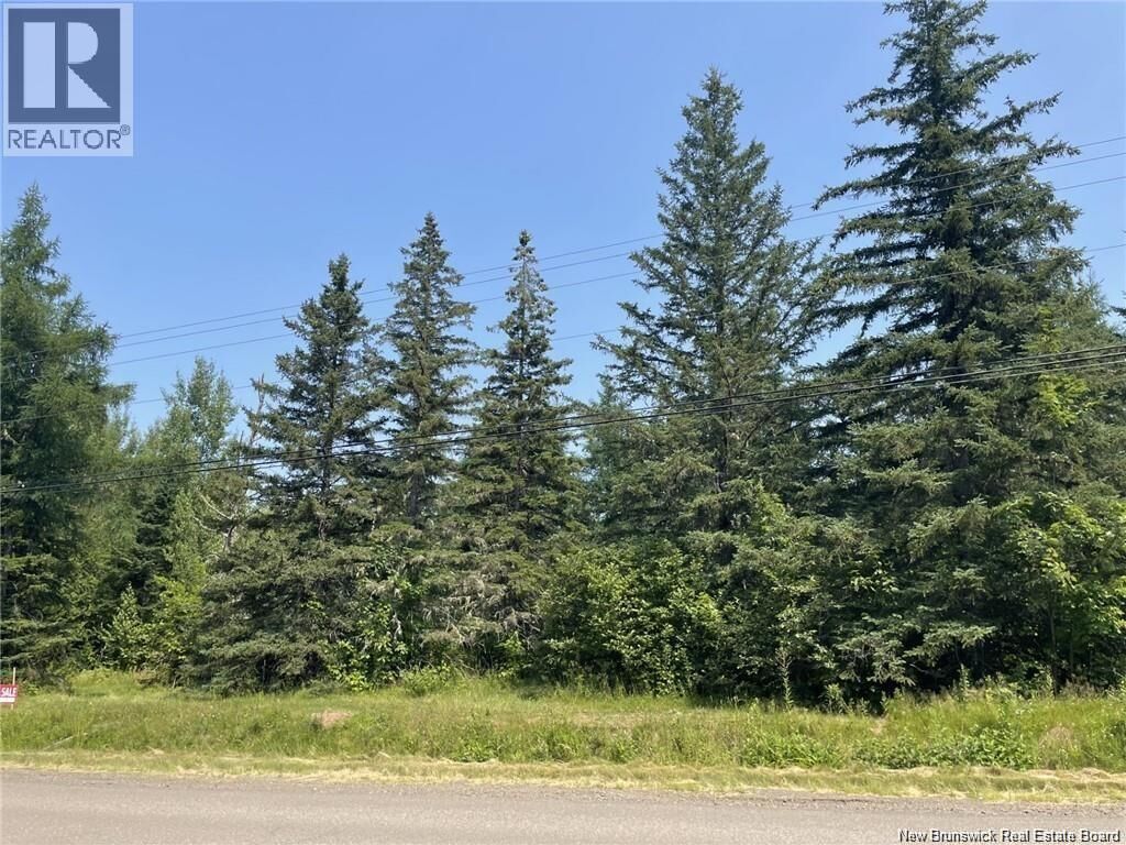 Property Photo:  Lot 77-1 Route 134  NB E4S 1E7 