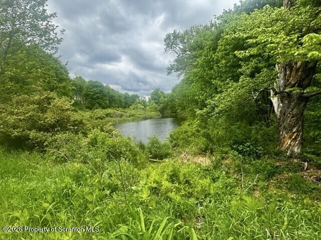 Property Photo:  Marvins Road  PA 18825 