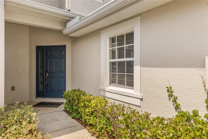 Property Photo:  10306 Stone Moss Avenue  FL 33647 