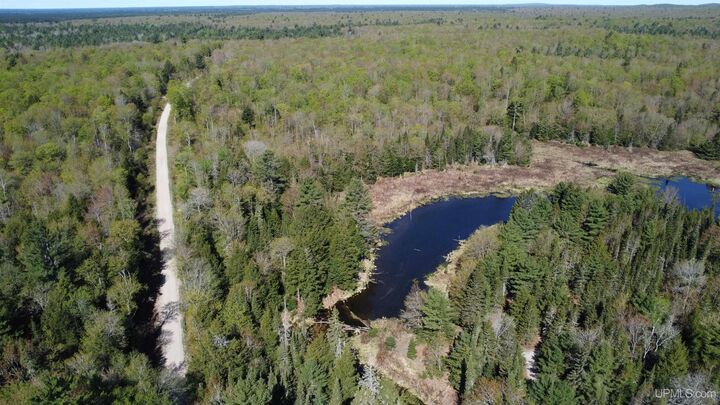 Property Photo:  On Tahquamenon Truck Trail Road  MI 49868 
