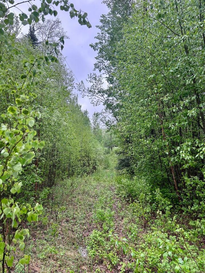 Property Photo: 67458 McGrane Rd 122 AB T0A 2C0