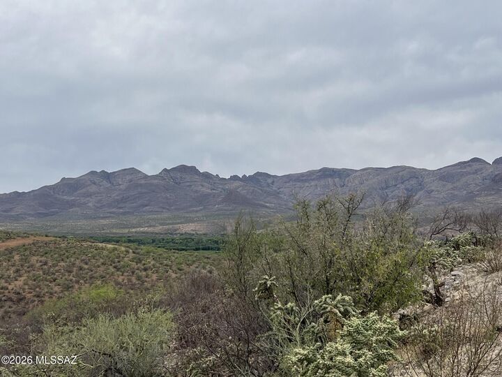 Property Photo: 1835 Camino China 3 AZ 85648