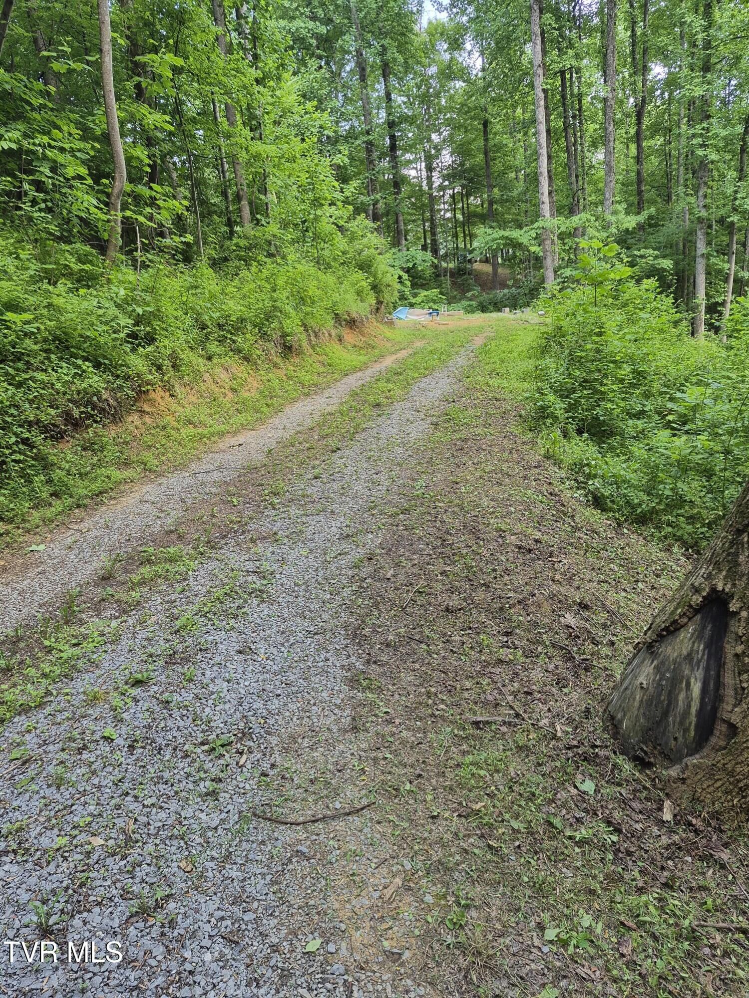 Property Photo:  134 Thomas And Webb Road  TN 37604 