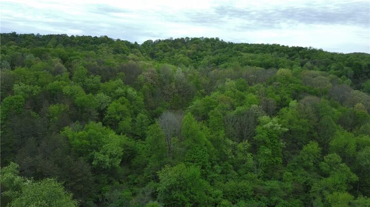 Property Photo: 1878 Dime Road PA 15690