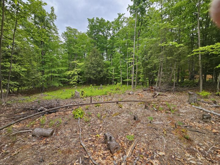 Property Photo: 74 Tamarac Drive NY 12986