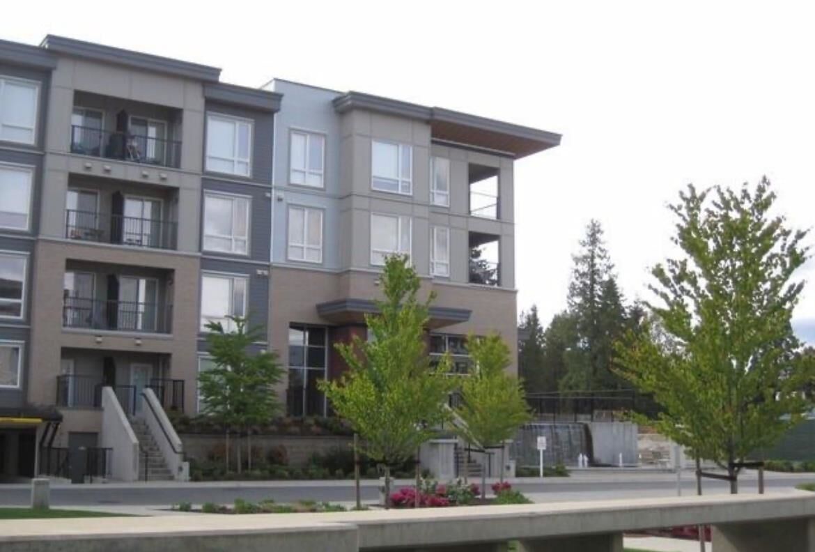 Property Photo: 13339 102A Avenue 316 BC V3T 0C5