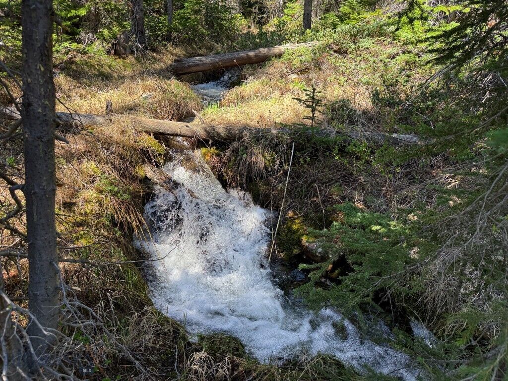 Property Photo:  970 Lower Clear Creek Trail  MT 59711 