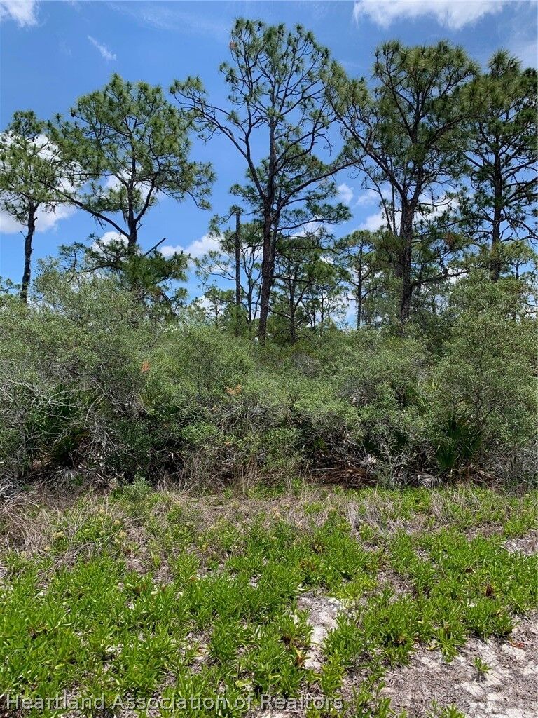 Property Photo:  551 Wildflower Street  FL 33852 