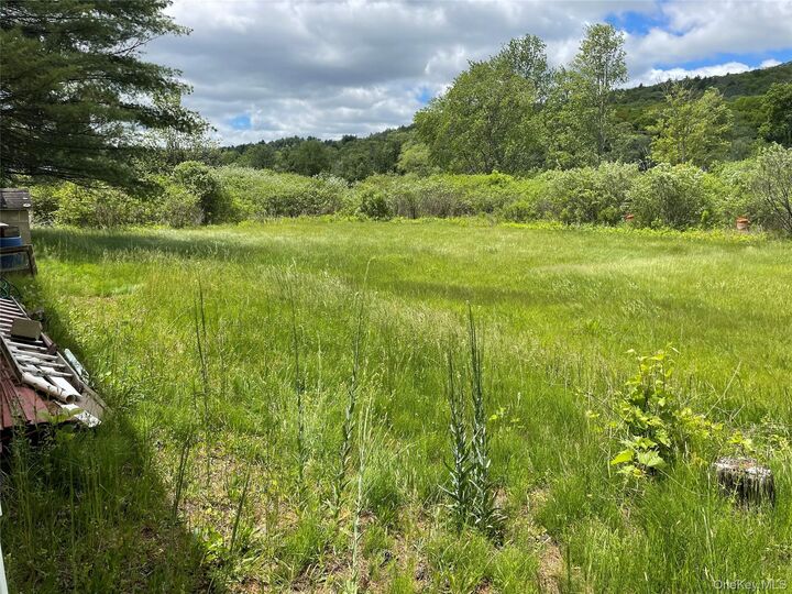 Property Photo:  163 Fire House Road  NY 12781 