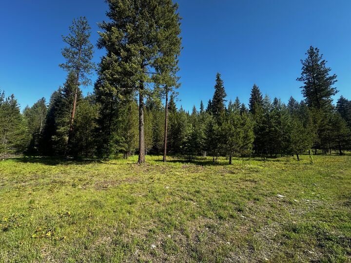 Property Photo:  Nhn Graves Creek Loop  MT 59873 