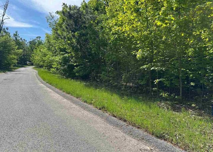 Property Photo:  1279 Walkabout #15  MI 49740 