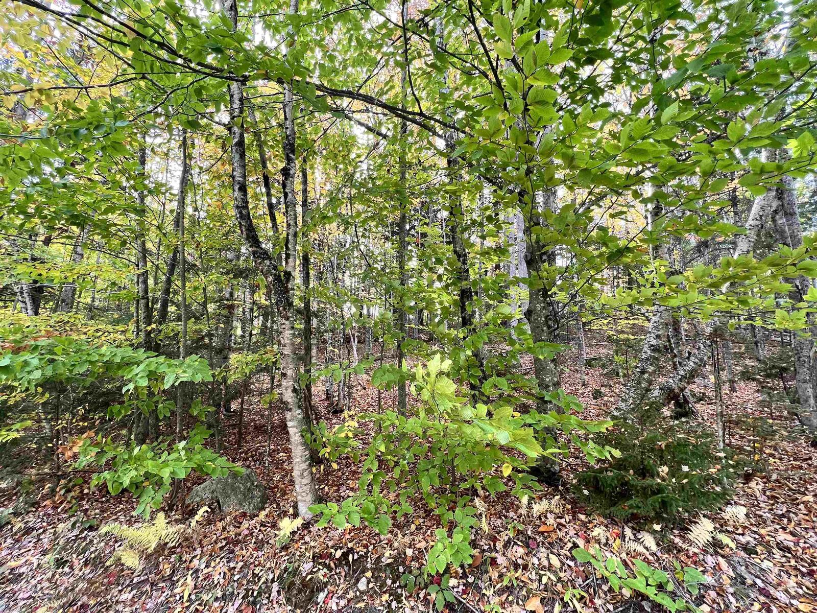Property Photo:  400 Road Round The Lake  NH 03753 
