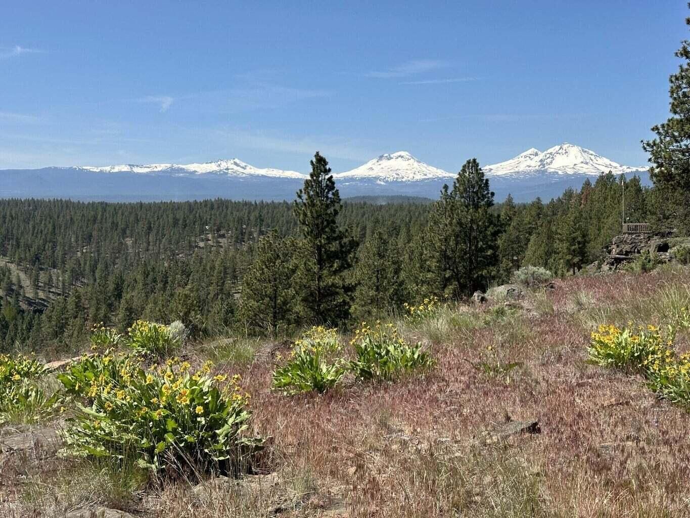Property Photo:  17127 Mountain View Road  OR 97759 