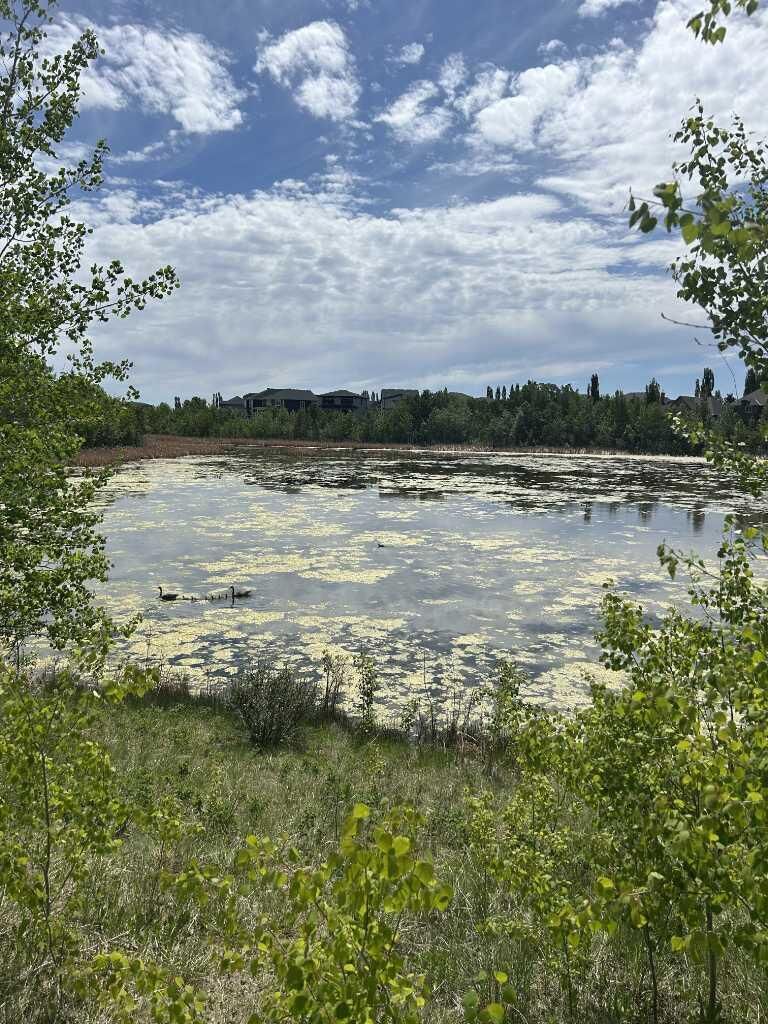 Property Photo: 284 Rock Lake Drive NW AB T3G 5Z4