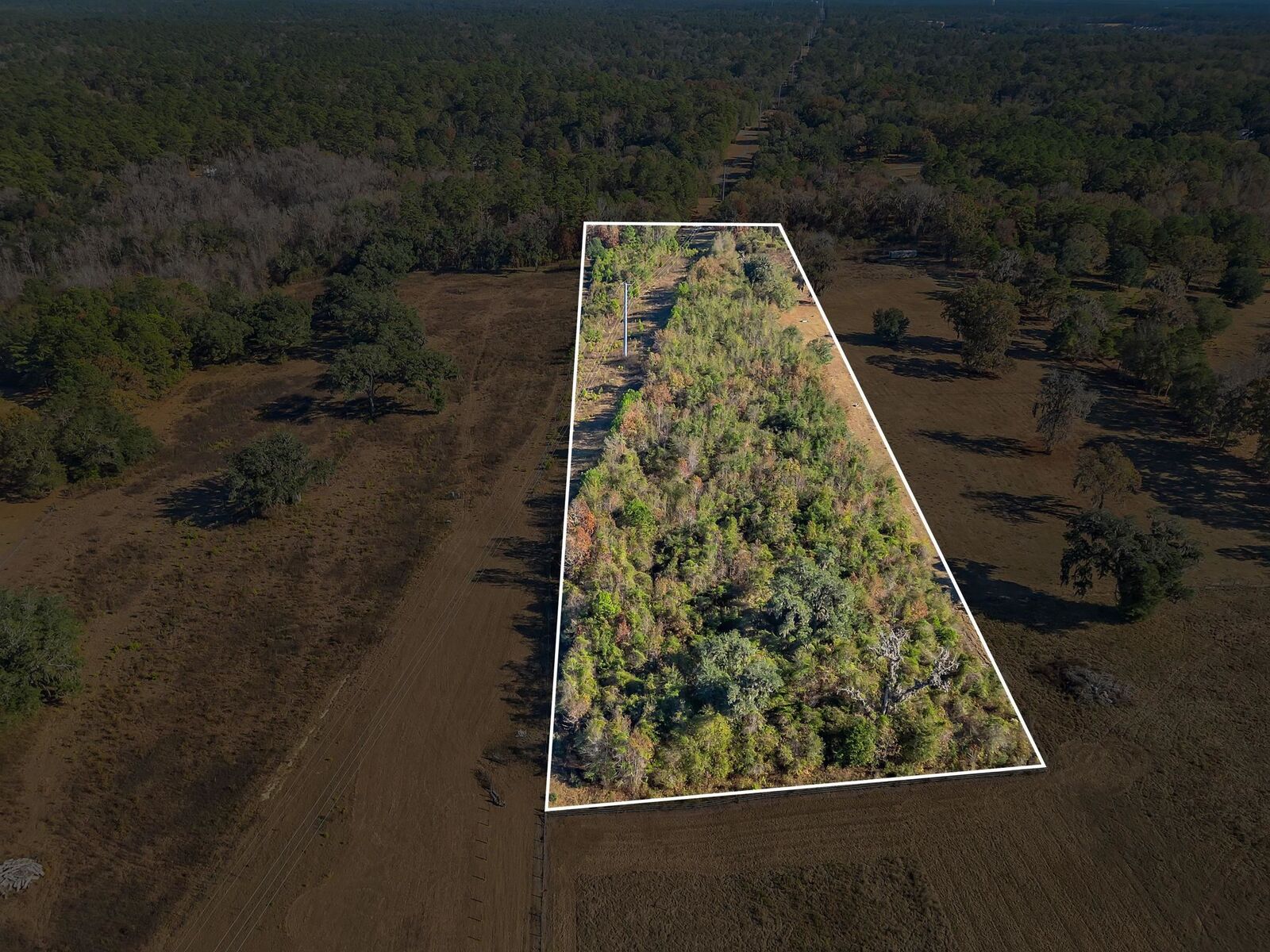 Property Photo:  0 Hickory Woods Trail  FL 32312 