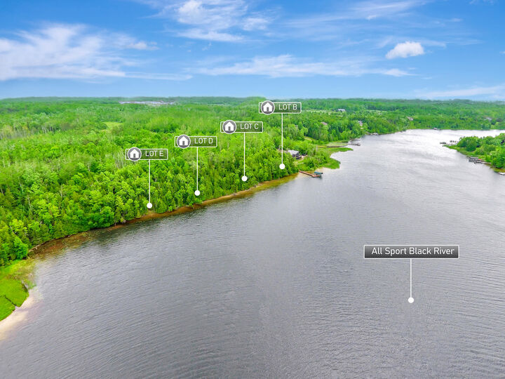 Property Photo: V/L N Black River Road MI 49721